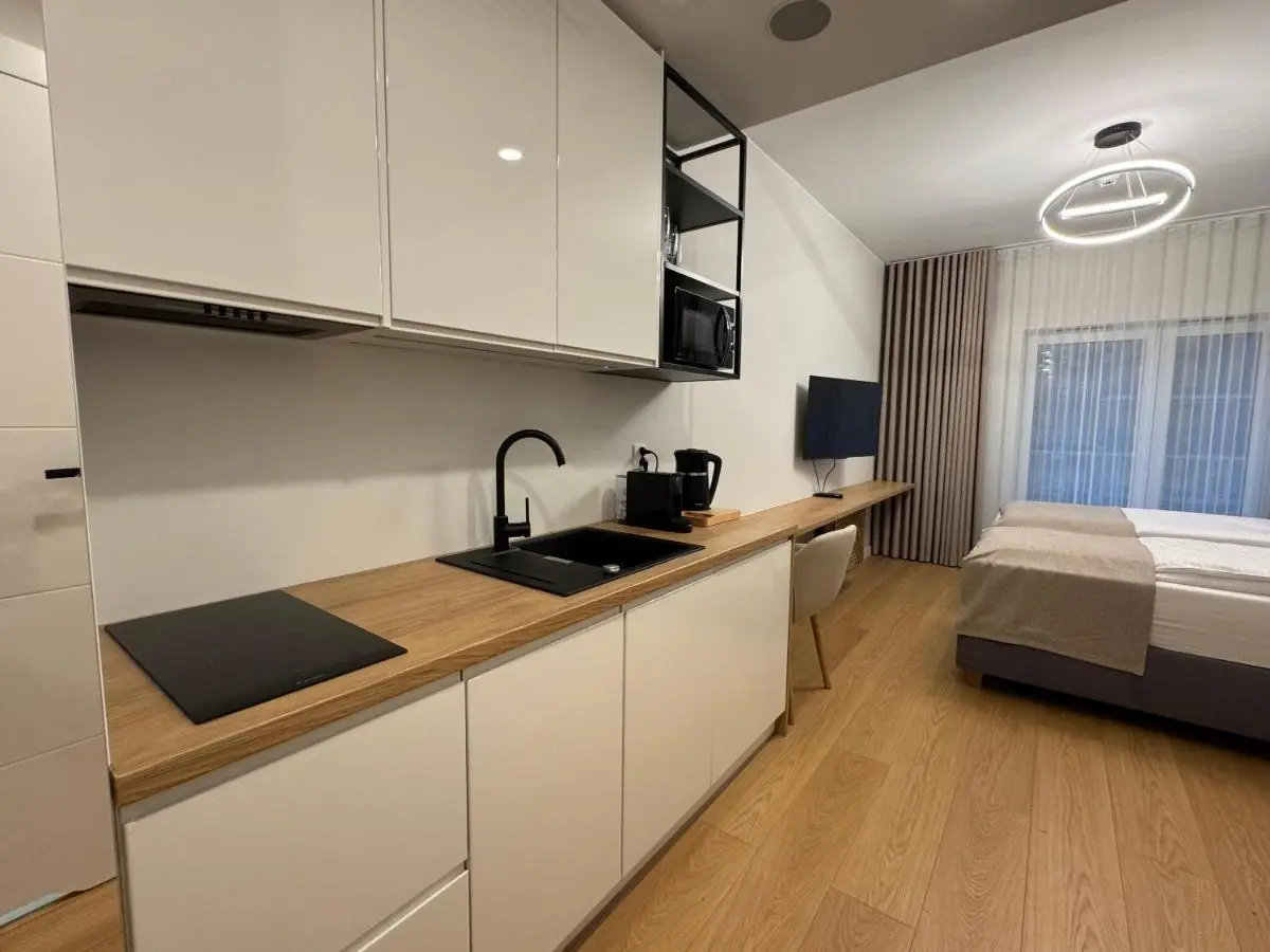 Kitchenette with induction hob, sink, dishwasher and kettle