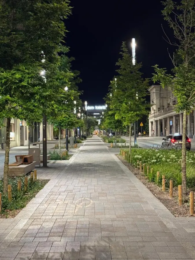 A tree-lined pedestrian street at night